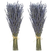Bunga Lavender Awet Grosir, Bahan Bunga Lavender Abadi untuk Florist, Buket Pernikahan, Kerajinan DIY, Dekorasi Rumah