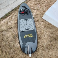Tamebillow 15kw Moteur Planche de surf électrique en fibre de carbone Jet Board avec prix compétitif