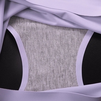 Culottes Taille Haute Confortables en Soie Glacée pour Femmes S-4XL, Sous-vêtements Sans Coutures, Lingerie Féminine Douce et Sexy, Grandes Tailles