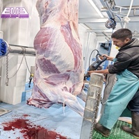 Ligne d'abattage de bétail entièrement automatique 20 têtes/heure, équipement d'abattoir halal avec moteur pour usine de transformation de viande bovine