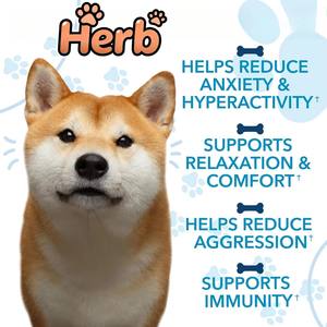 Golosinas Blandas de Alta Proteína para Perros, Marca Privada OEM/ODM, Apoyo Inmunológico, Salud Digestiva, Orgánicas con Manzanilla, Flor de la Pasión y Cáñamo - Product Image 5