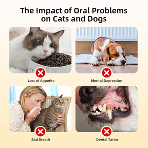 Liquide nettoyant pour dents d'animaux OEM ODM pour chiens et chats, contrôle de la mauvaise haleine, élimination de la plaque dentaire, soin buccal, haleine fraîche - Product Image 3