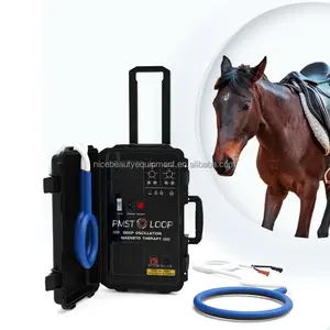 Оборудование для физиотерапии, портативная петля PEMF Horse PMST для использования в ветеринарной клинике
