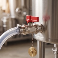 Grifo de latón para barril de cerveza, válvula de bola mini de 1/2 pulgada con mango rojo, tapa de cadena y conexión para manguera, para fermentador casero OEM/ODM