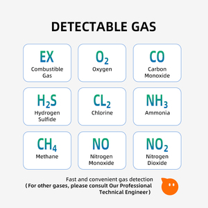 Oem odm יצרן משאבת נייד גלאי גז שאיבה רב 4 גז lel o2 co h2s אזעקת גז אזעקה - Product Image 6