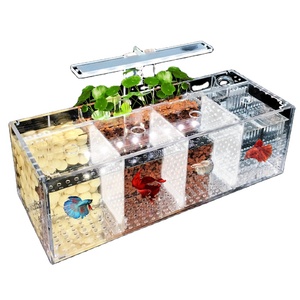 Venta Directa <span class=keywords><strong>de</strong></span> Fábrica <span class=keywords><strong>de</strong></span> Artículos para <span class=keywords><strong>Mascotas</strong></span>: Pecera Rectangular Pequeña para Peces Betta, Sin Necesidad <span class=keywords><strong>de</strong></span> Cambio <span class=keywords><strong>de</strong></span> Agua, con Bomba <span class=keywords><strong>de</strong></span> Agua - Product Image 3