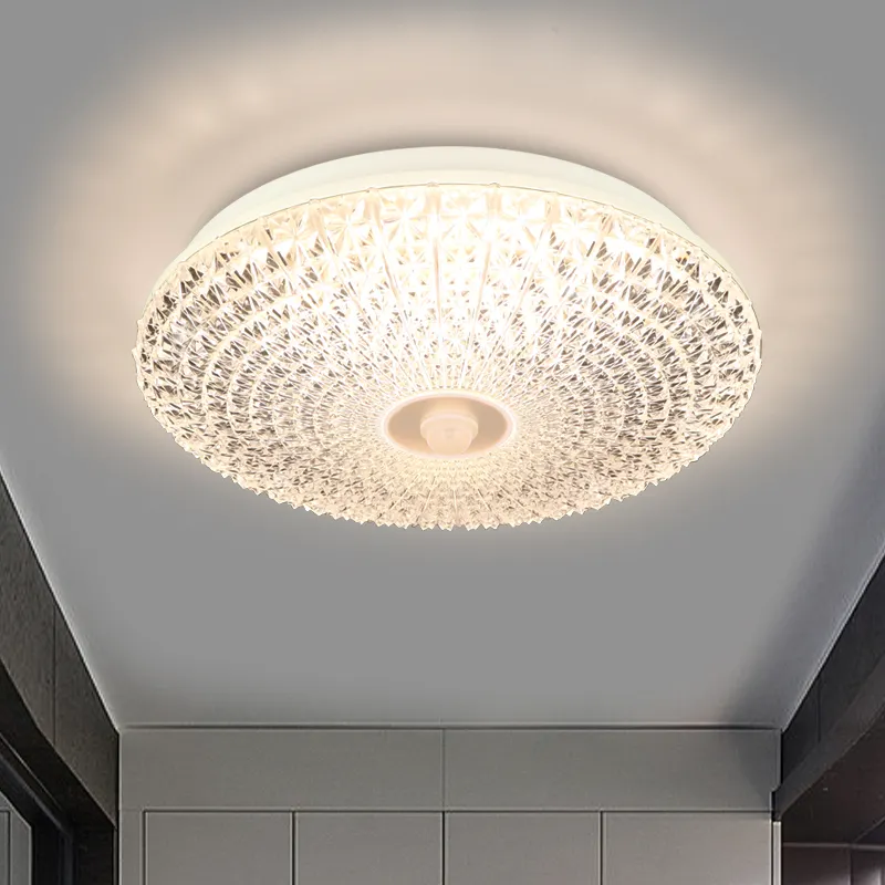 Quality Goods Acrylic Anti Mosquito Sensor House Lighting Modern LED Ceiling Light
