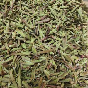KAIYANGE Yunnan Pu'er DA XUE SHAN Daxue montaña Pu'er té crudo salvaje antiguo árbol púrpura brote té dulce Néctar fragante brote <span class=keywords><strong>de</strong></span> té - Product Image 4