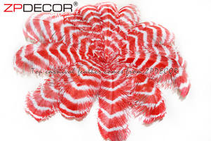 Pemasok Emas ZPDECOR Grosir 70-75 Cm Garis Besar Celup Merah dan Putih Bulu Burung Unta untuk Hiasan Kepala Karnaval - Product Image 2