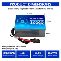 Batterie à État Solide Personnalisée 30Ah 51.8V 10C 14S Pack Prise XT90 pour 800 Cycles Multi-Rotor DJI Alimentations Sans Interruption