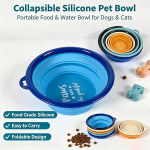 Ciotola Pieghevole in Silicone per Animali Domestici OEM/ODM, Senza BPA, Portatile per Cani e Gatti, Ideale per Viaggi e Uso Esterno - Product Image 1