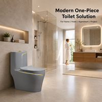 WC en céramique gris de luxe léger, à poser au sol, avec chasse d'eau à siphon, siège désodorisant anti-odeur, design coloré pour salle de bain