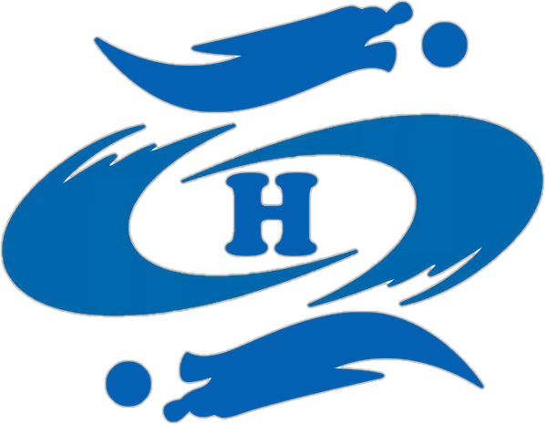 Shandong Huayi Tech New Materials Co., Ltd. logo