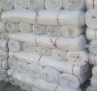 Filet anti-insectes en HDPE pour l'agriculture / Filet agricole en plastique anti-insectes / Filet anti-insectes pour serre agricole