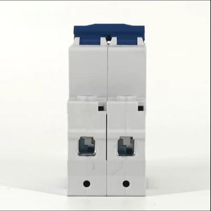 <span class=keywords><strong>Disyuntor</strong></span> de CA de fábrica 16 <span class=keywords><strong>20</strong></span> 25 32 50 63 <span class=keywords><strong>Amp</strong></span> MCB Precio 2 polos 2 P <span class=keywords><strong>Disyuntor</strong></span> eléctrico en miniatura - Product Image 6