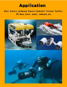 Faradyi 3 Phase Waterproof Motor Ip68 12v 24v 48v 72v 300w Dc Brushless Underwater Motors Waterproof