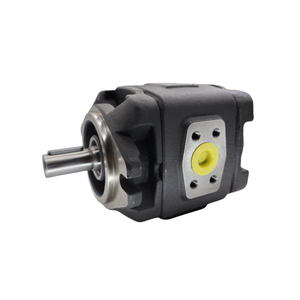 Pompe à engrenages hydraulique LXPG1H LXPG2H LXPG3H LXPG2G Pompe à engrenages haute pression LXPG1H-LX1/008RF1A0033 - Product Image 4