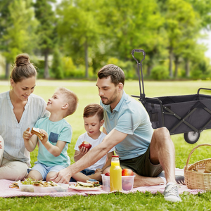 世界的な売れ筋折りたたみ式ワゴンカートビッグサイズ120KG容量ユーティリティワゴンショッピング用キャンプガーデン屋外ブラックブルーグリーン - Product Image 6