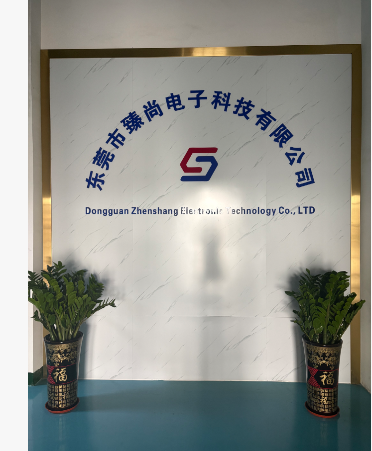 Dongguan Zhenshan Electronics Technology Co., Ltd.