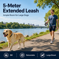 Laisse Rétractable pour Chien 5M Robuste en Chaîne, Légère en ABS, Automatique et Intelligente, Vente Directe Usine, pour Grands Chiens