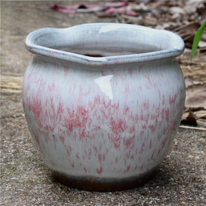 Vaso in terracotta grezza a bocca larga MSH, corto e robusto, per piante grasse e Aeonium - Product Image 4