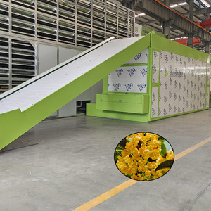 Continuous Flowers Mesh Belt Drying Machine Osmanthus Mesh Belt Dryer Machine Rose Dryer Machine - Product Image 1