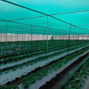 Tarım dayanıklı gölge blok netleştirme için file tente - Product Image 1