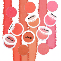 Palette de fard à joues simple Aris Private Label, fard à joues mat naturel, poudre waterproof longue tenue, maquillage pour le visage, cosmétiques