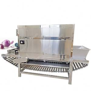 Haute efficacité 500 Kg/h chaîne oignon épluchage Machine ail élimination de la peau pour fruits et légumes - Product Image 6