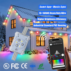 Smart Wifi Controller 48V Home Outside Eave Permanent <b>Lights</b> IP68 Waterproof Outdoor Decorative Christmas Lighting - Product Image 1