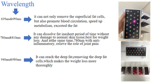 <span class=keywords><strong>ฉีด</strong></span>สลายไขมันสตรอว์เบอร์รี่ 6D ไลโปเลเซอร์ โมอนจาโร 5 มก. <span class=keywords><strong>ฉีด</strong></span>ลดน้ำหนัก ครอบคลุมทั่วร่างกาย แสงสีแดงสูงสุดสำหรับการสลายไขมัน - Product Image 5