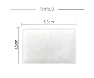 China Fabriek Produceren Wegwerp <span class=keywords><strong>Cpap</strong></span> Filter Voor <span class=keywords><strong>Resmed</strong></span> <span class=keywords><strong>S9</strong></span> Serie Airsense10 Serie Mini Filter - Product Image 6