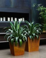 Penanam Logam Pohon Besar, Pot Taman Baja Corten Besar