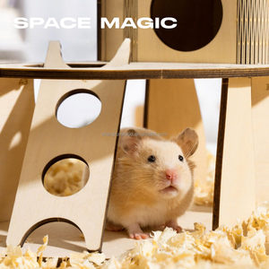 Château <span class=keywords><strong>de</strong></span> Hamster en bois cachette multicouche pour petits animaux avec escalier aire <span class=keywords><strong>de</strong></span> jeux pour animaux <span class=keywords><strong>de</strong></span> compagnie - Product Image 4