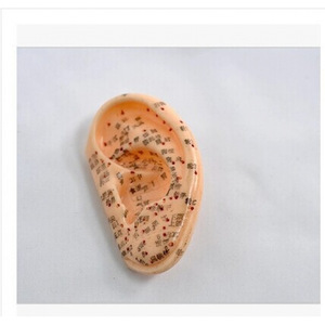 Modelo de acupuntura auricular a escala 1:1 reutilizable para entrenamiento y práctica - Product Image 2