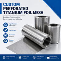 Feuille perforée en maille de titane GR1 GR2 ASTM B265 pour filtration, isolation acoustique, blindage EMI, aérospatiale, sur mesure OEM