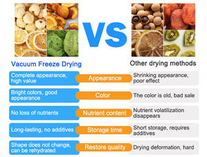 Máquina liofilizadora al vacío de laboratorio liofilizada con pantalla LCD de - Product Image 2