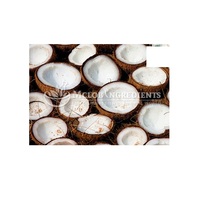 Poudre de lait de coco naturelle, alternative végétale aux produits laitiers pour la cuisine, la pâtisserie, les smoothies, le café et l'alimentation quotidienne.