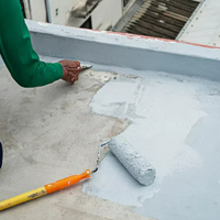 Revêtement d'étanchéité liquide en caoutchouc polymère à base de ciment JS, fourni directement par l'usine, pour application murale, personnalisable