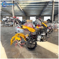 Motoculteur domestique, machine de gestion des vergers, petite machinerie agricole, motoculteur portatif