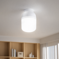 Ampoule LED DOB 12W 18W 50W 2400-12000K 70-130lm/w pour l'éclairage des entrepôts industriels