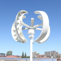Nouvelle conception de générateur éolien à axe vertical rouge 600W 1000W 12V 24V à vendre