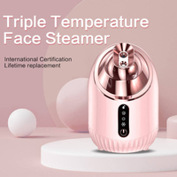 Vaporizador Facial Nano Iónico Ultrasónico para el Hogar, Humidificador con Vapor Frío y Caliente, Atomizador Eléctrico con Tanque de Agua de 240 ml