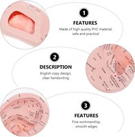 Modèle d'oreille de 17 cm pour l'apprentissage de l'acupuncture et de la réflexologie, matériel de laboratoire pour la pratique médicale CE/ISO