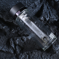 Bouteille à thé portable en verre borosilicate avec filtre en acier inoxydable, couvercle anti-fuite, infuseur à thé, tasse pour les voyages et le bureau