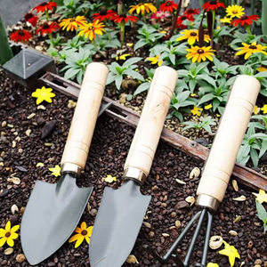 तीन-टुकड़े घरेलू बागवानी उपकरणों का सेट हरे रंग के पौधे के टुकड़े टुकड़े टुकड़े टुकड़े टुकड़े टुकड़े टुकड़े टुकड़े टुकड़े टुकड़े किए गए मिट्टी के लिए - Product Image 3