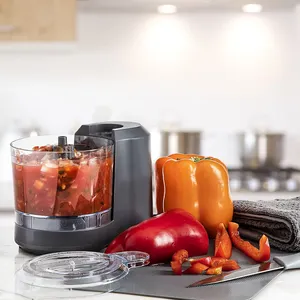 Portable Food Grade Electric Kitchen Tool Mini Garlic Chopper Fruit And Vegetable Food Chopper