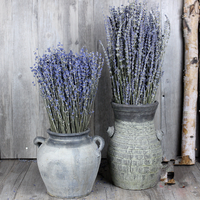 Tanaman Alami Kering Asli Reed Bunga Kering Provence Lavender Tandan untuk Pengaturan
