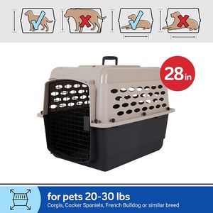 Cage de transport portable Petmate <span class=keywords><strong>Vari</strong></span> pour chiens de taille moyenne, compatible avion, en plastique durable, écologique et verrouillable - Product Image 6