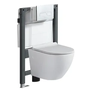 批发卫生洁具壁挂式马桶WC带暗箱的浴室马桶